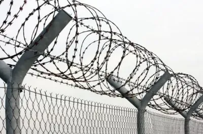У Житомирській області втекли двоє засуджених