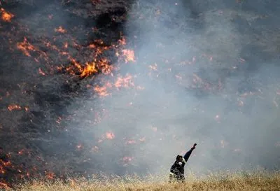 У Греції виявили тіла ще 26 жертв лісової пожежі