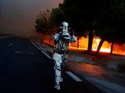 Лесной пожар в Греции унес жизни не менее 24 человек