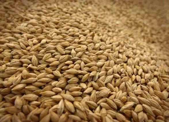 Аграрии уже намолотили 20 млн тонн зерна