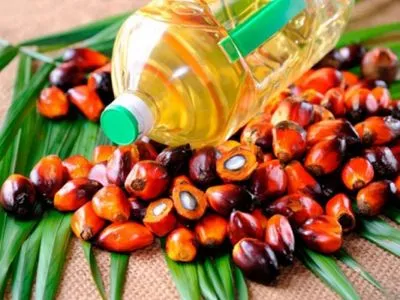 В Раде ожидают принять "запрет" на пальмовое масло в продуктах уже осенью