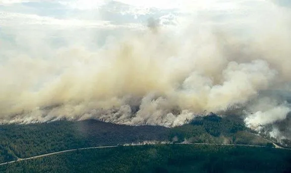 Швеция опасается распространения лесных пожаров на полигон со снарядами