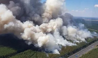 У Німеччині спалахнула масштабна лісова пожежа