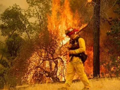 Число жертв лесного пожара в Калифорнии возросло до шести