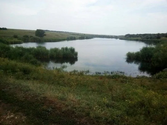 В Кировоградской области в реке массово погибла рыба