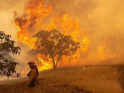 В результаті лісових пожеж в Каліфорнії згоріла майже тисяча будинків