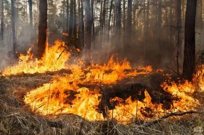 По Украине ожидается высокий уровень пожароопасности