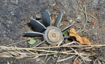 В ОБСЄ підтвердили загибель двох дітей від міни поблизу Горлівки