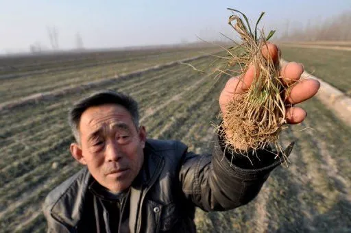 Посуха у Китаї змусила владу задуматися про виклик штучного дощу