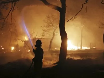 Чрезвычайное положение объявлено в районе лесного пожара на острове Эвбея