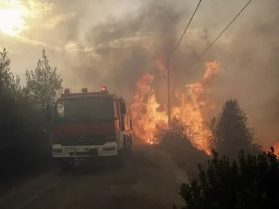 На грецькому острові Евбея виникла сильна лісова пожежа