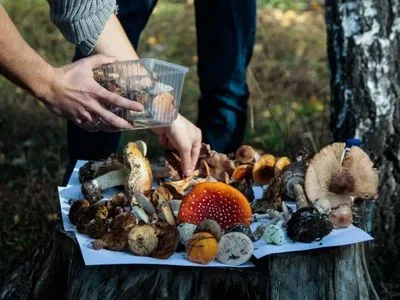 На Харківщині відпочиваючі отруїлися грибами