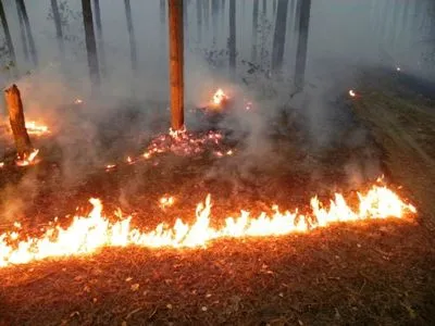 В Украине объявлен самый высокий уровень пожароопасности