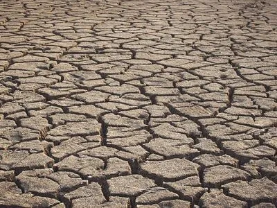 Аномальна посуха в Європі призведе до значної втрати врожаю