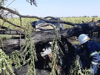 В Николаевской области в результате ДТП загорелся автомобиль