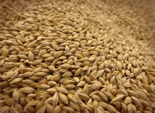 Аграрії намолотили вже 33,6 млн тонн зерна