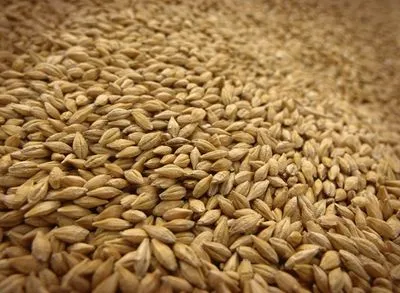 Аграрии намолотили уже 33,6 млн тонн зерна