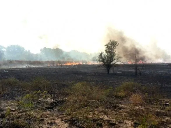 Природные пожары в Украине: за сутки произошло 13 только в одной области