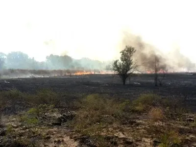 Природні пожежі в Україні: за добу сталося 13 лише в одній області
