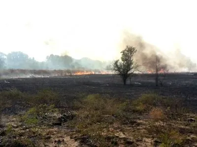Природные пожары в Украине: за сутки произошло 13 только в одной области