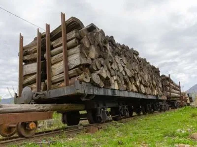 На Львівщині затримали вантажівки з нелегальним деревом