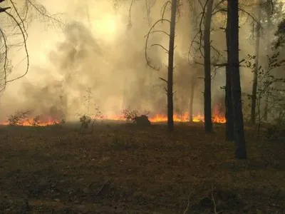Пожежу у лісі на Миколаївщині загасили