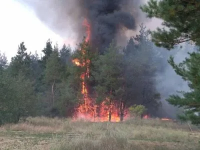 В Николаевской области вспыхнул лес