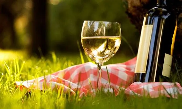 Пити біле вино у спеку корисніше, ніж червоне - нарколог