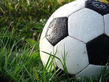 Наслідки судійства: Суркісам пригадали їх відсторонення від футболу через корупцію