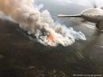 Лесные пожары охватили почти все континенты: зрелищные фото