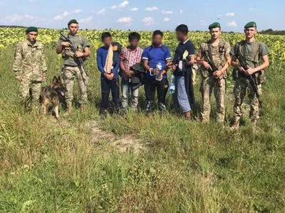 Во Львовской области пограничники среди подсолнухов обнаружили четырех нелегалов