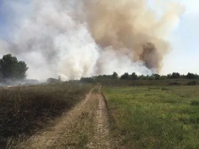 В Херсонской области массово горел камыш