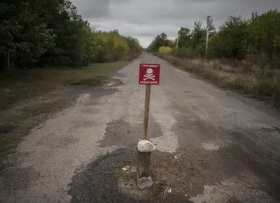 На Донбассе от взрыва противопехотной мины погибла местная жительница