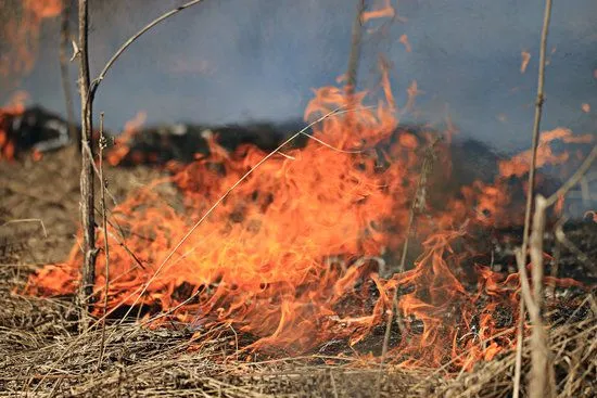 На більшості території України очікується надзвичайна пожежонебезпека