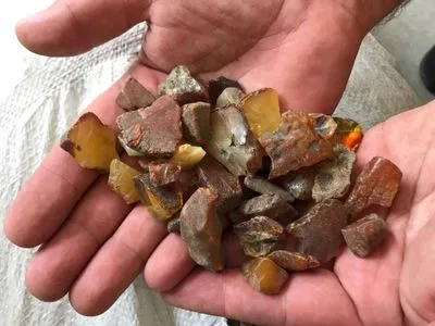 Польские таможенники нашли у гражданина Украины почти 50 кг контрабандного янтаря
