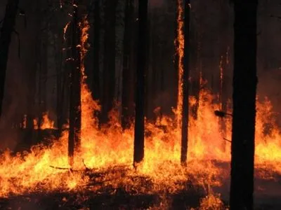 До кінця тижня на Київщині утримається найвищий рівень пожежонебезпеки