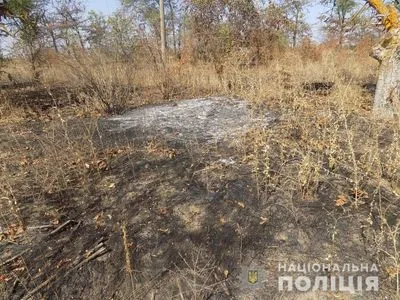 Поджог виноградников в Одесской области: в полиции уверяют, что кусты винограда не повреждены