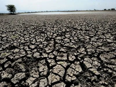 ВОЗ: изменение климата приведет к 250 тыс. дополнительных смертей за год