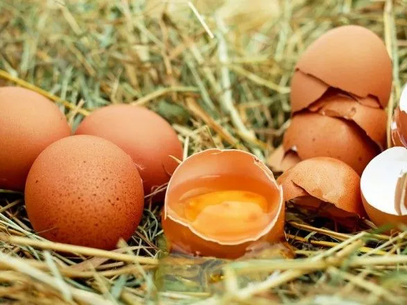 ОАЕ вподобали українські яйця та стали найбільшим покупцем