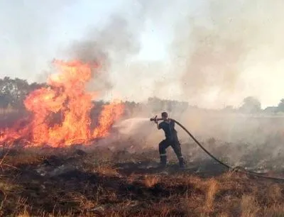 В Полтавской области произошло масштабное возгорание сухой травы