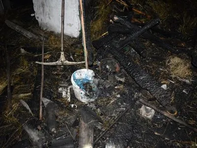Двое малолетних детей погибли в пожаре в Ровенской области