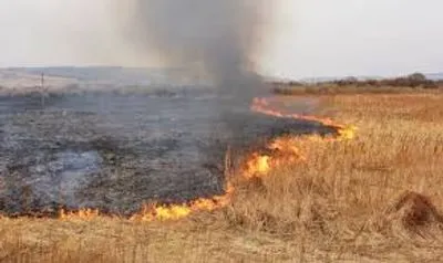 На Донбасі через ворожий обстріл загорілася суха трава