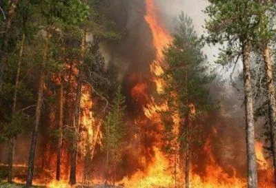 До кінця літа в Україні протримається найвищий рівень пожежонебезпеки