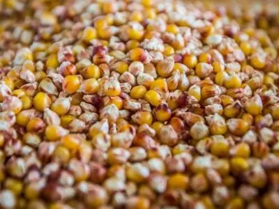 Жатва-2018: зерновые и зернобобовые культуры собраны с 10 млн га