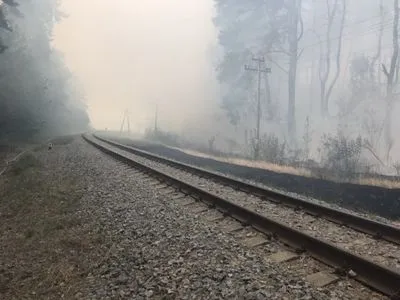 Пожежу в лісі на Харківщині продовжують гасити
