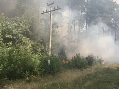Лісова пожежа на Харківщині: до гасіння залучили потяг, літак і вертоліт