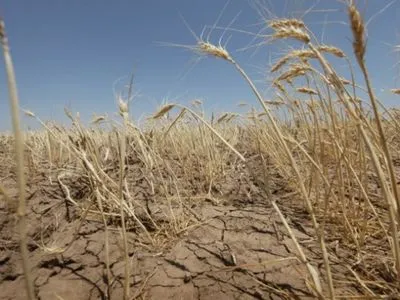 Харьковскую область постигла рекордная засуха