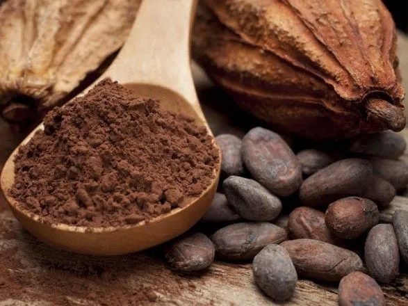 Какао-фальсификат изготавливали в Черниговской области