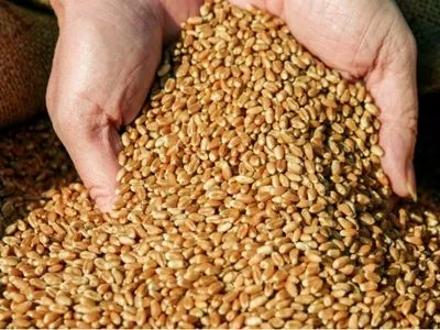 В Украине уже собрали почти 35 млн тонн зерна