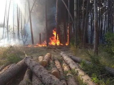 В Харьковской области локализовали пожар, который охватил 35 га хвойного леса